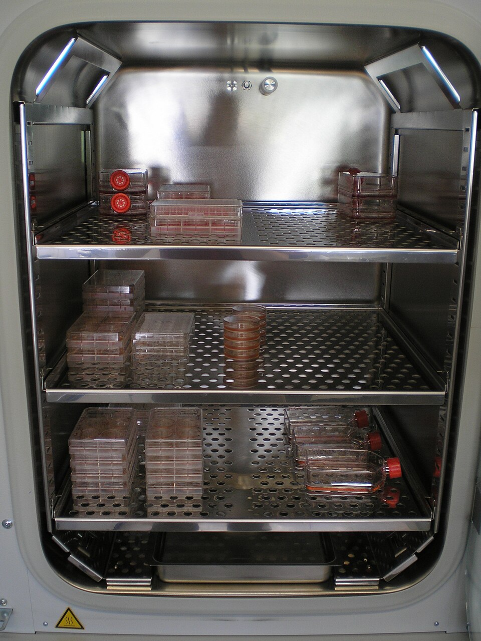 Incubator shelves holding cell culture flasks