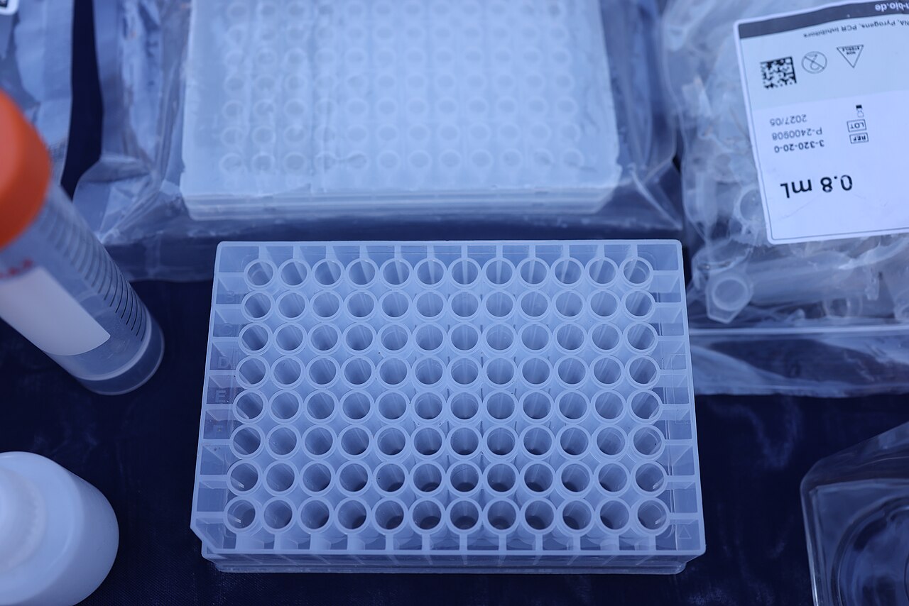 A 96-well plate used for an assay